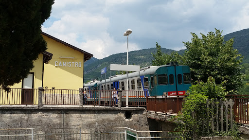 Canistro - Visual