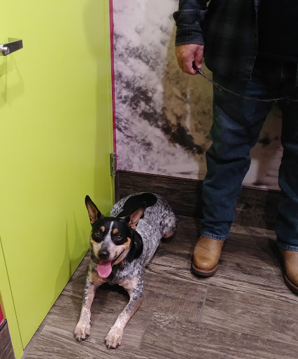 Plateau Animal Hospital - Thumbnail