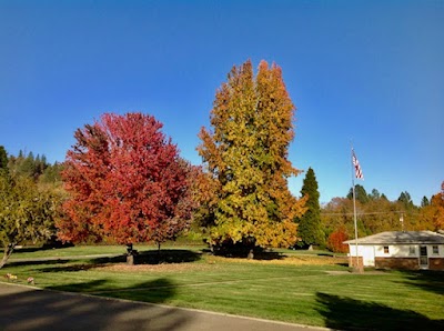 Hawthorne Memorial Gardens