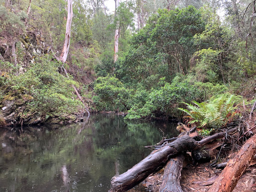 Yeerung Gorge