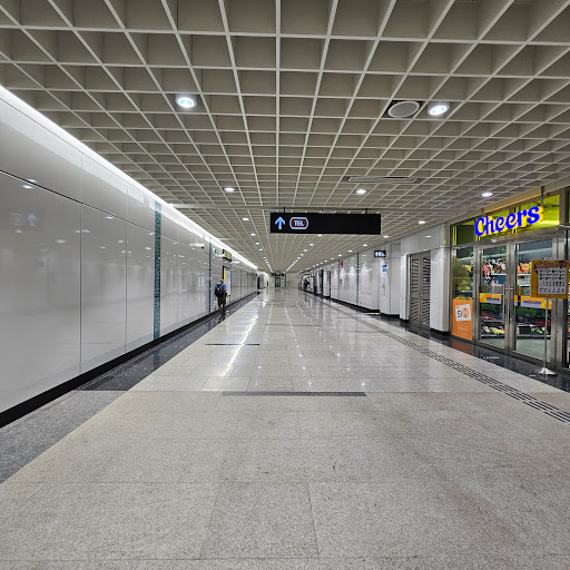 Springleaf MRT Station (TE4) - Thumbnail