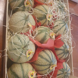 Photo n°12 de Pizzeria La Provence Restaurant à Cavaillon (Restaurant)