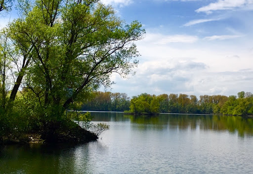 "Fretter Loch" - Thumbnail