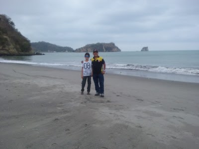 Photos of Palmera Real