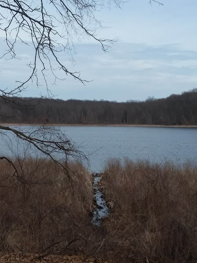 Mud Lake Access Site - Thumbnail
