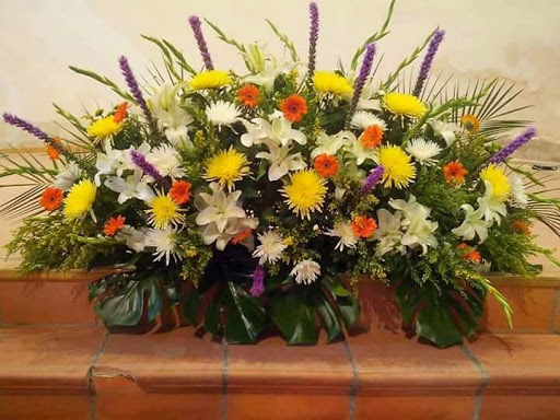 Flores Conchy - Thumbnail