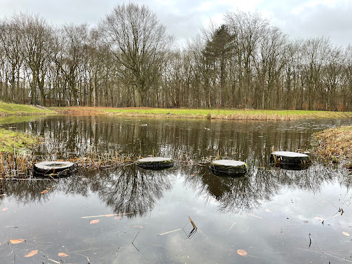 Spiegelvijver