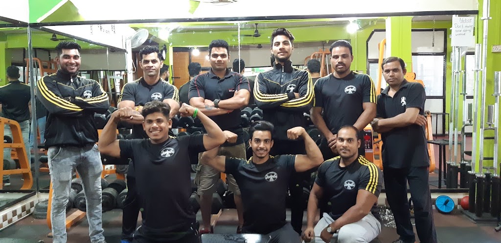 The Body Structure Gym