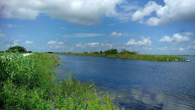 Loxahatchee Everglades Airboat Tours and Rides