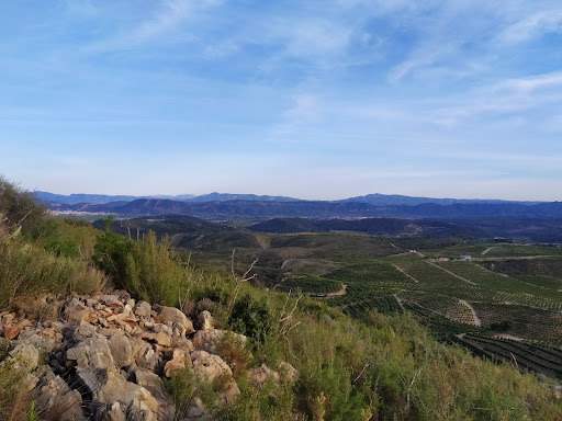 Cim del Montot
