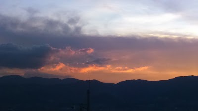 Photos of UVA De La Alegr&iacute;a