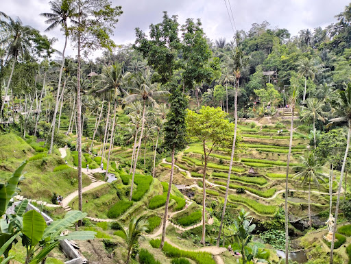 Bali driver in nusa dua (Baliprivatedaytrip)