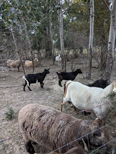 Happy Life Ranch - Thumbnail