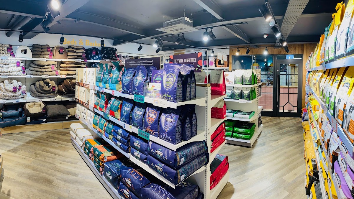 Pets Corner Bournemouth, Your Best Reviewed Local Pet Shop