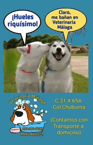 VETERINARIA MALAGA