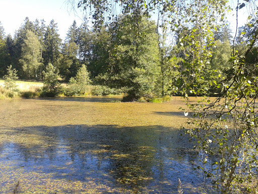 Spessartbogen - Visual