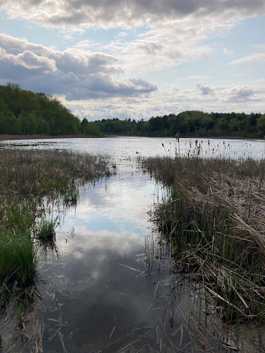 Myklebust Lake State Natural Area