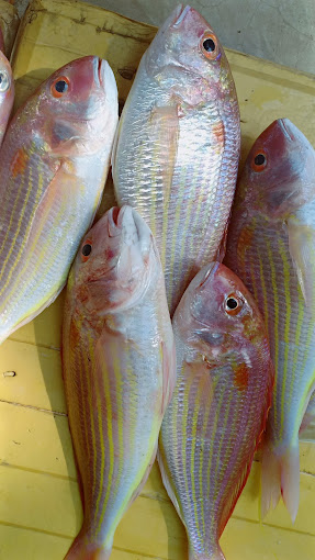 Cà Phê Hương Thảo