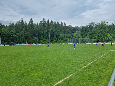 Sportpark Orsingen-Nenzingen Orsinger Str. 42, 78359 Orsingen-Nenzingen, Deutschland