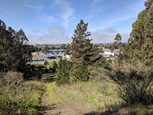 Half Moon Bay High School - Thumbnail
