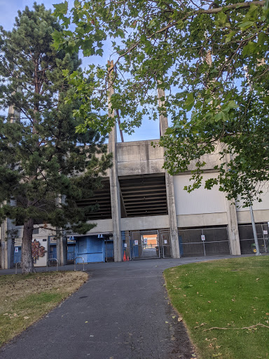 Centennial Stadium - Visual