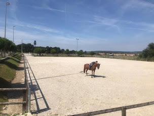 Photo n°1 de Société d'Equitation de Vernouillet à Vernouillet (Centre équestre)