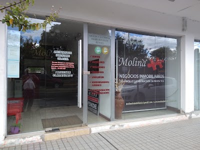 Photos of Molina Negocios Inmobiliarios