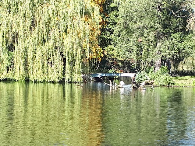 Jardins Royaux de Herrenhausen