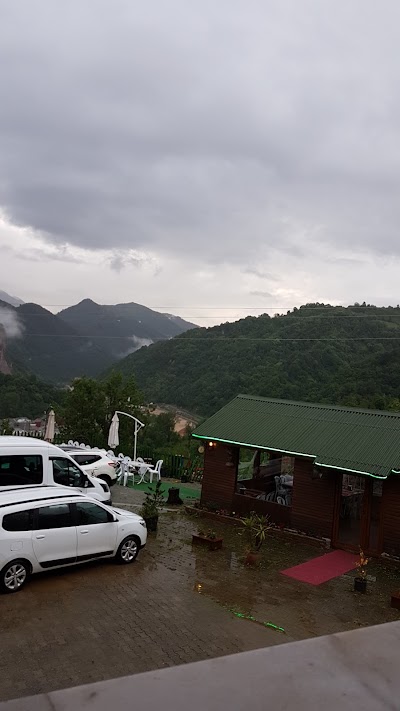 Photos of KARADENİZ KUŞ CENNETİ