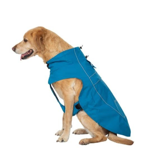 Rainy days shouldn't stop the playtime! 🌧️🐕 post image