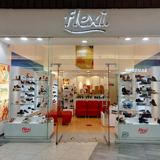 Flexi Paseo Durango - Visual