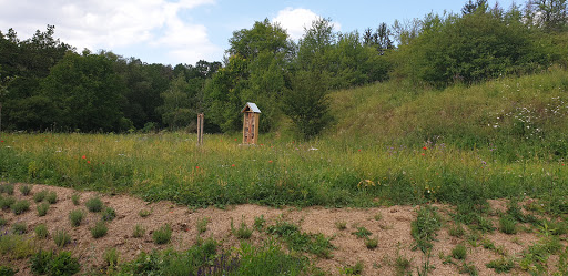 Bienenpavillon - Visual