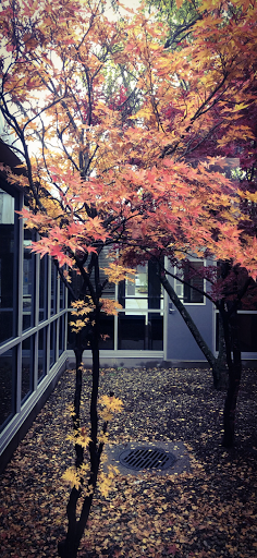 Crestwood High School