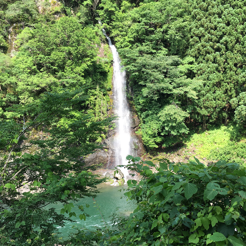 天 川村 漁協