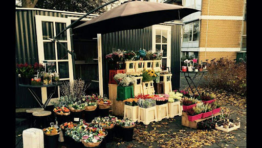 La Lola Bloemenboetiek