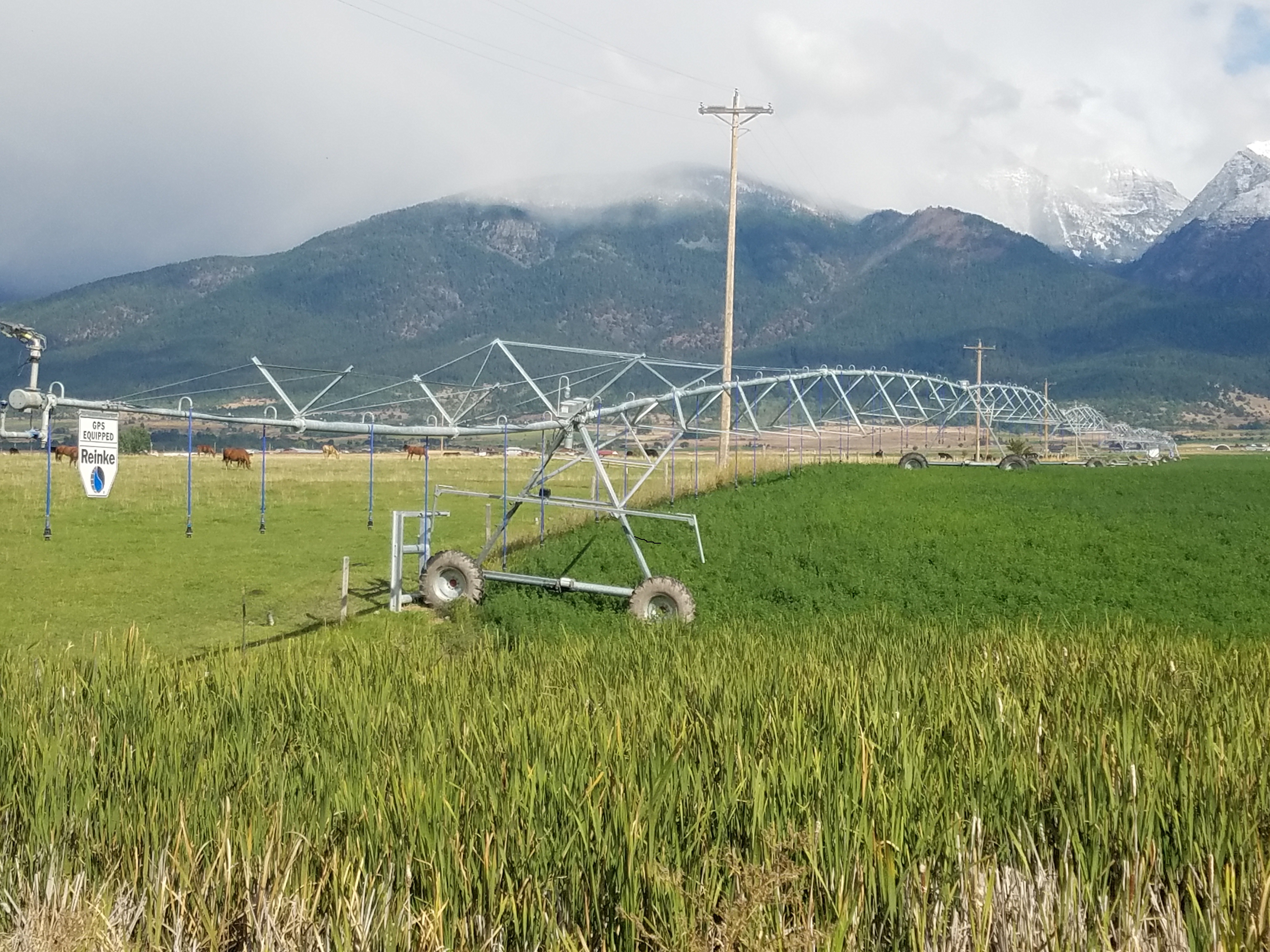Ronan Irrigation LLC