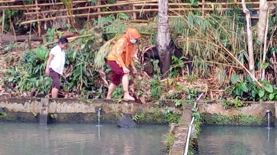 Photos of Gardenia Bussines Park Jember