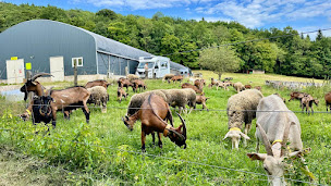Photo n°36 de Les Douceurs caprines à Dambelin (Fromagerie)