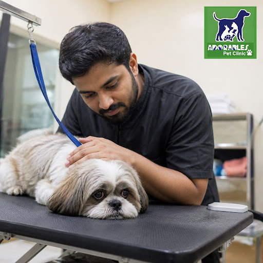 Is your pet scared of grooming sessions? At Adorables Pet Clinic, our experienced grooming team i… post image