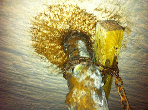 Photo n°2 de DB Expertise à Soissons (Consultant immobilier)