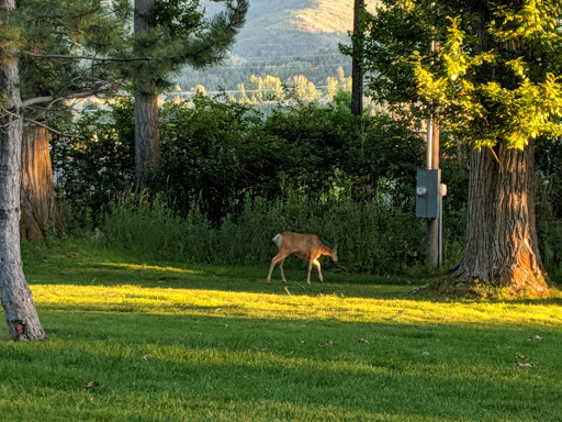 Washoe Park - Thumbnail