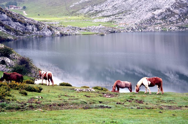 Lacs de Covadonga