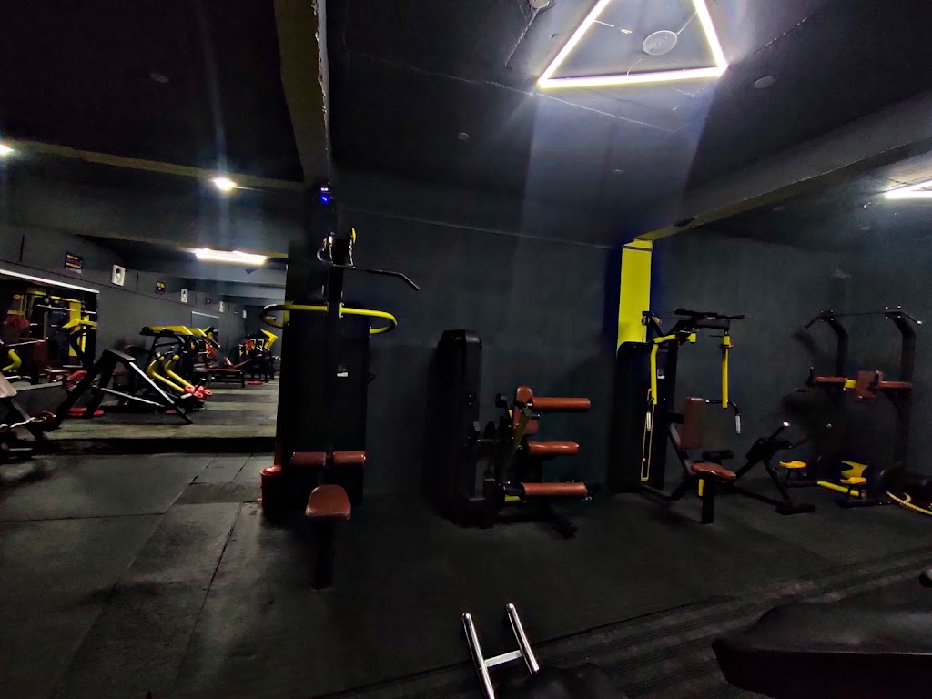 Muscle Addiction Fitness Hub