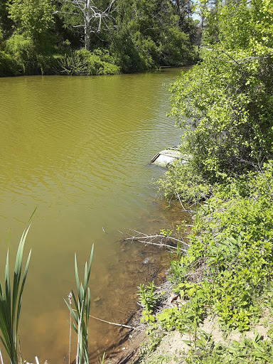 Wolf Pit Pond - Thumbnail
