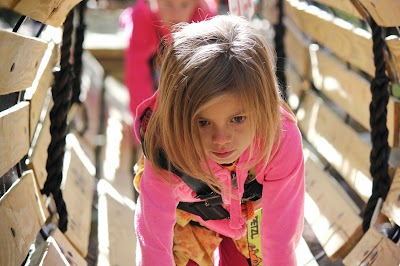 Treetop Zoofari Zipline and Adventure Park