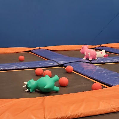 Sky Zone Trampoline Park