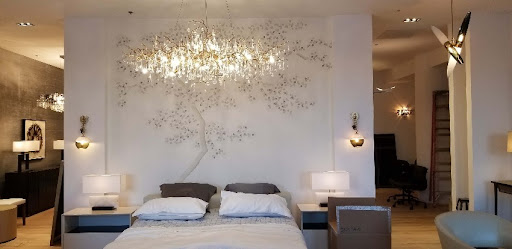 Root Electric, - Visual