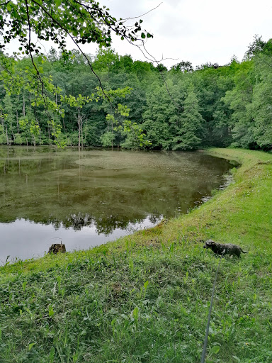 Parkplatz Stadtwald Ellrich - Thumbnail