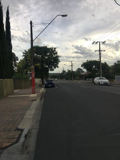 Stop 19A Winston Ave - East side - Thumbnail