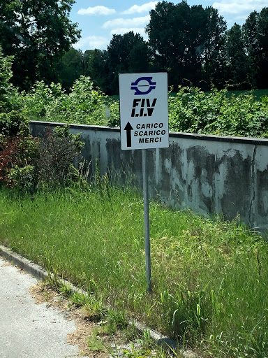 F.I.V. - Visual